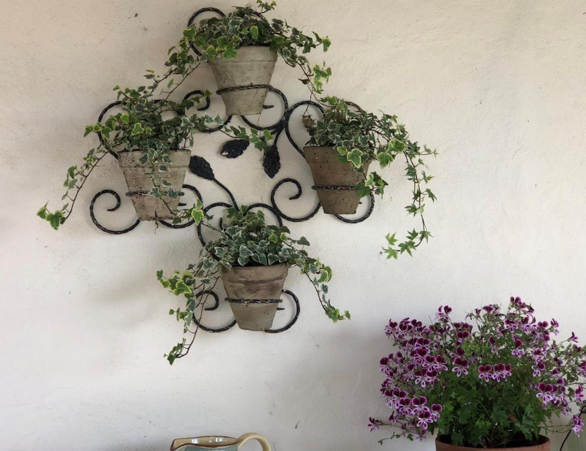 Maison Lamothe Flamarens Zewnętrze zdjęcie